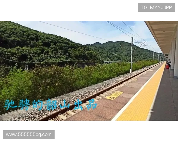 鍥捐但灏旇璇濆悗璐濇灄鍐嶇垎绮楋紒涓栦勘鏉€掓€艰鍒ゅ紩浜夎